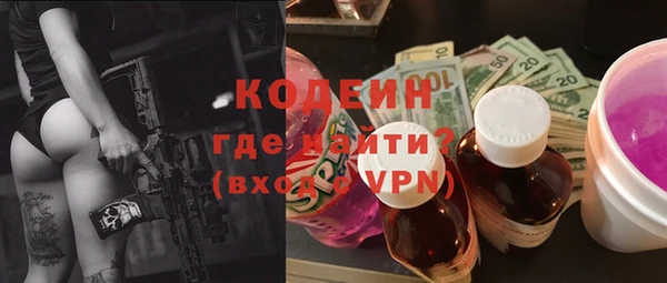 меф Вяземский