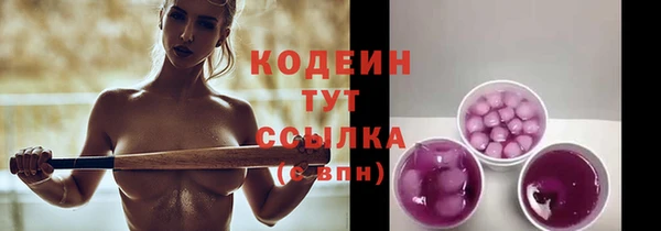 меф Вяземский