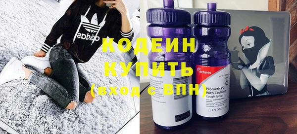 меф Вяземский
