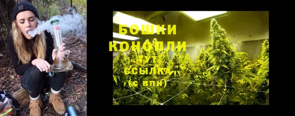 меф Вяземский